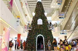 SC VivoCity đón Noel và Năm mới với cây thông khổng lồ 12m